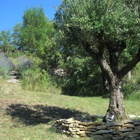 Διαμέρισμα The