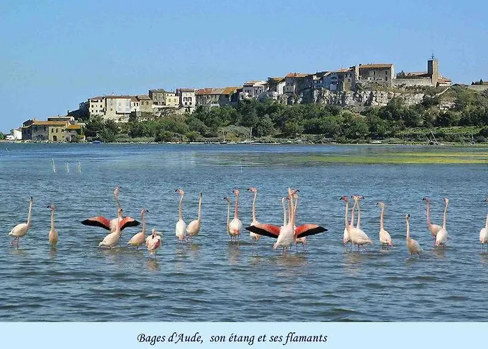 The 아파트 Roquetaillade